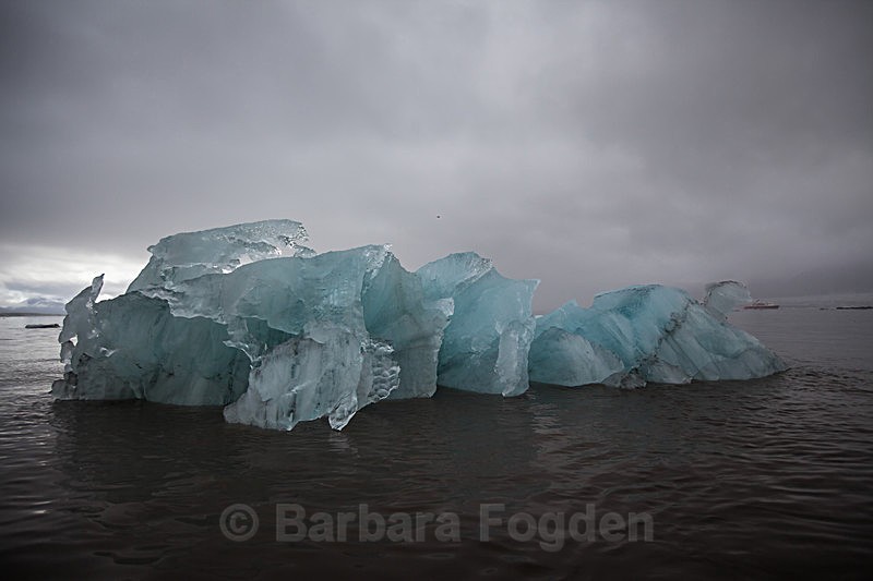 Iceberg 7752 - Trip with MS Expedition August 2016