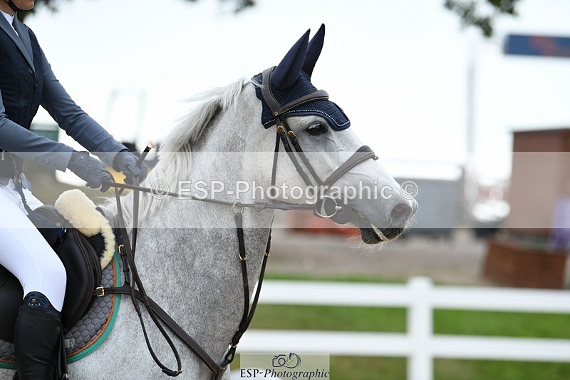 250803-091752-11803 - Cls 31 a&b British Novice & 90cm Open