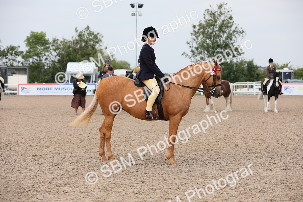 SBM_12731 - Class 307 Ridden Coloured Pony