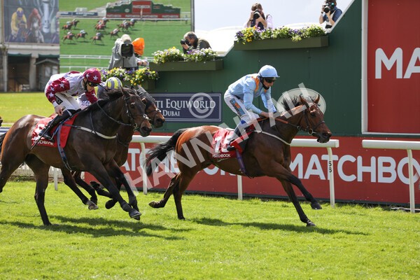 yr13052021r1-28 - Race 1 1.40pm The Matchbook Betting Exchange Stakes