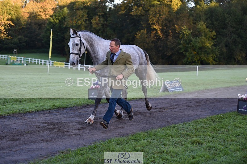 231022-083622-21253 - 681-CAPPA.OREO-Will.van.Ufford-TrotUp+SJ