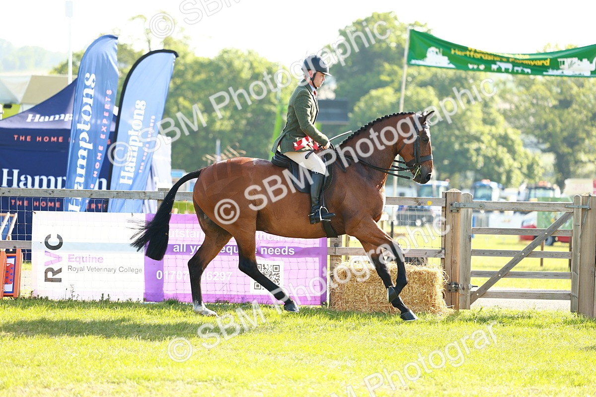 SBM_10848 - Class 66-69 - RIHS Ridden Hunters Inc Small Hunter