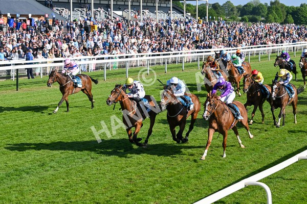 160525-Race 7-Delicacy-7435 - Race 7 5.30pm Yorkshire Equine Practice Handicap
