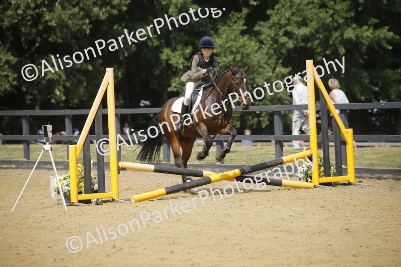 20250622-4028 - 50cm