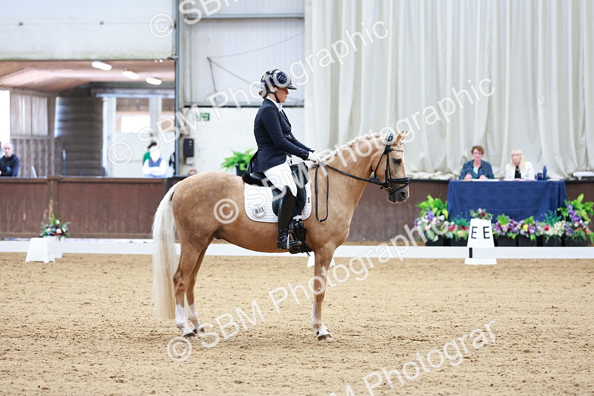 SBM_017332 - Class15 - FEI Pony