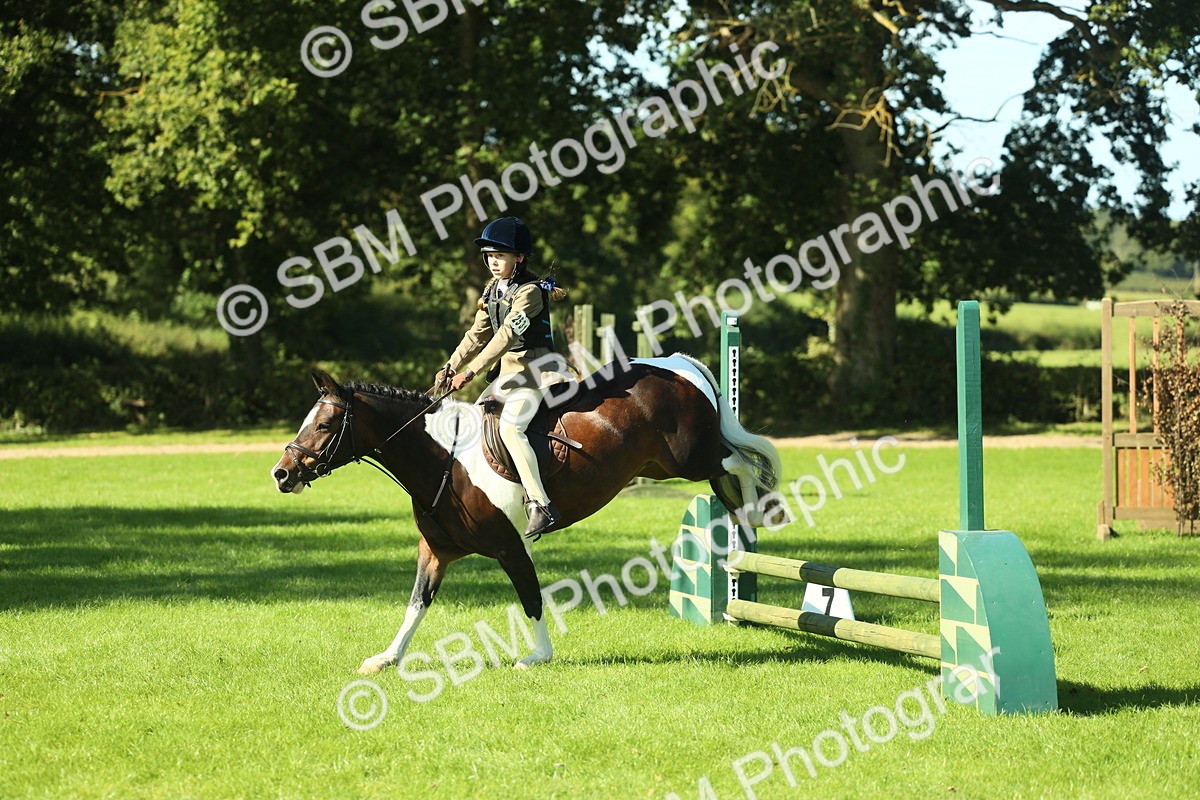 SBM_37536 - S29 - Novice & Newcomers Working Hunter Pony