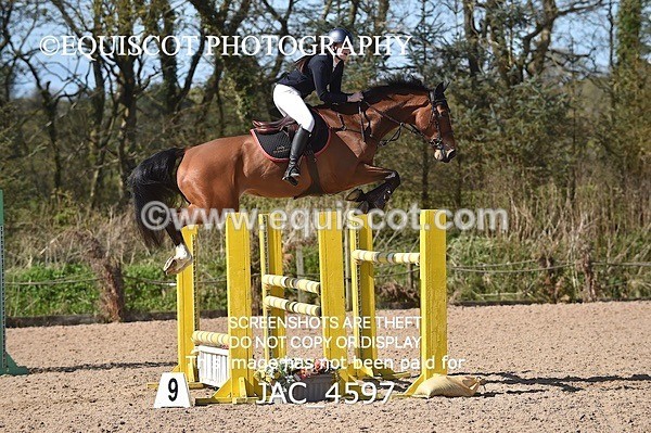 JAC_4597 - CLASS 11 SAT Andrew Hamilton Coach, RHS Foxhunter Championship Qualifier