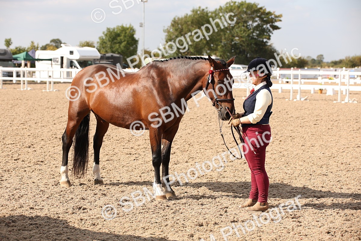 SBM_07432 - Class 26 IH Foreign Breeds -Part bred