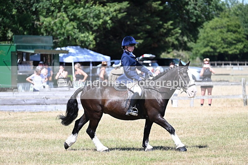 WJ7_3729 - Class 8 Ridden Veterans
