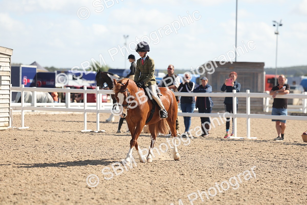SBM_23069 - Class 806 - Young Rider 10ry and Under