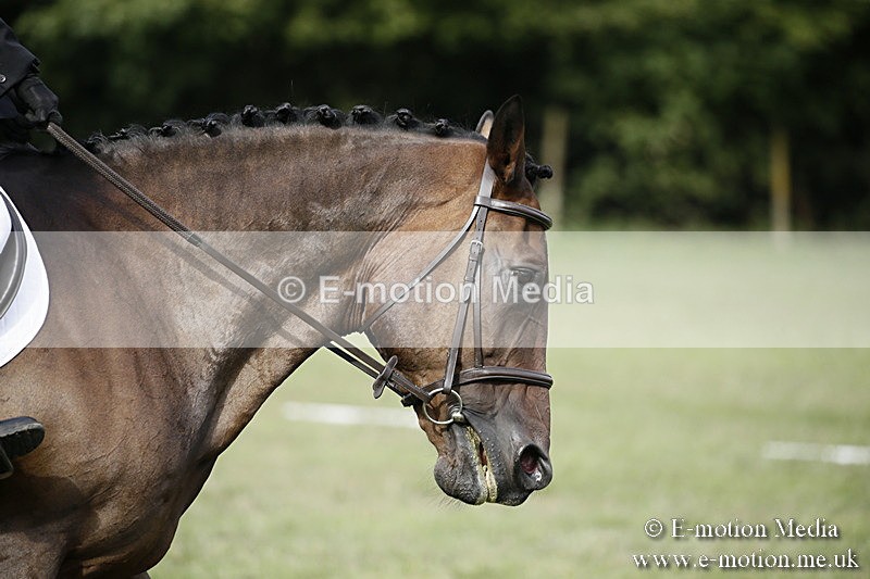 BVR090918 155 - BVRC Dressage and Show Jumping 09/09/18