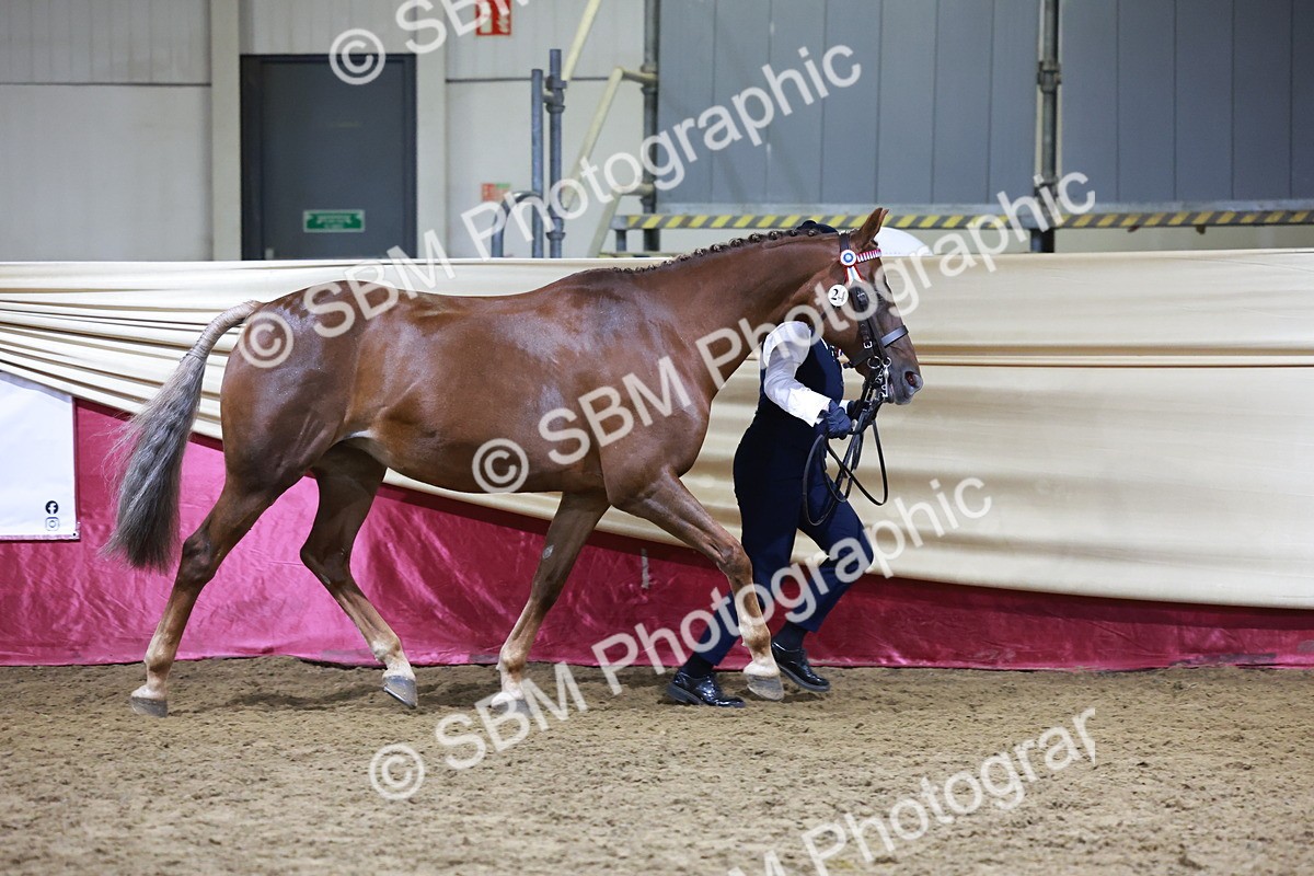 SBM_21210 - Class R - Veteran Champ