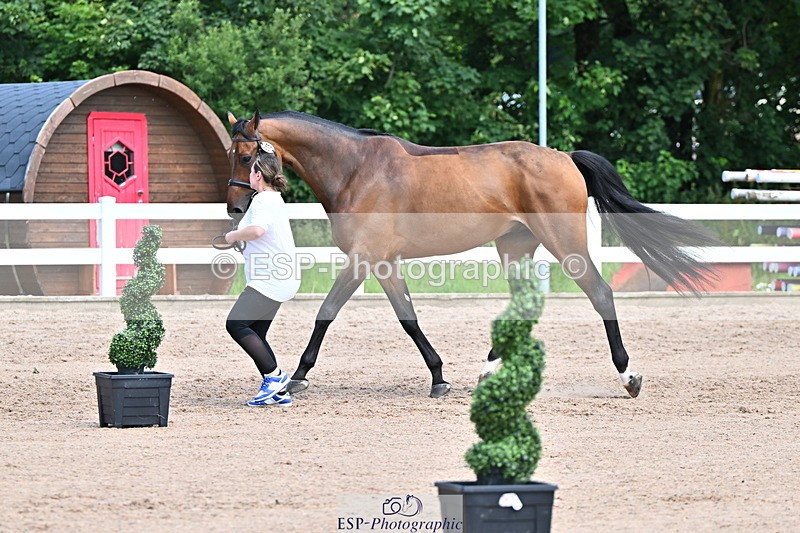 240718A-105256-01339 - Trot Up 12pm to 1pm