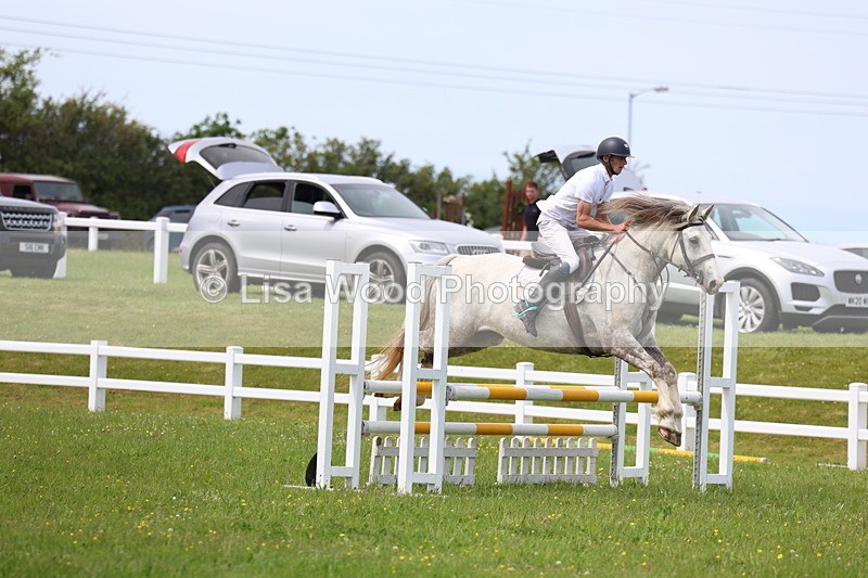 3E7A1647 - Class 13: Senior British Novice/90cm open