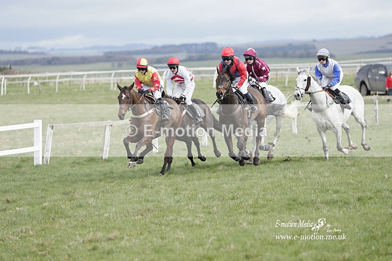 PtP 260323 0377 - New Forest Hounds Point-to-Point Larkhill 26/03/23