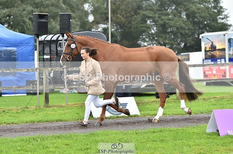 231018-123856-00423 - 051-VITAL.DK.Z-Isny.O'Donnell-TrotUp