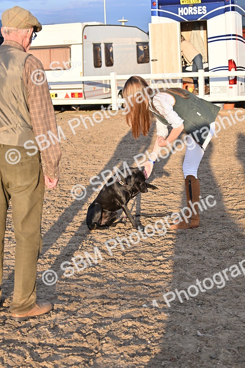 SBM_09655 - Lorry Dogs