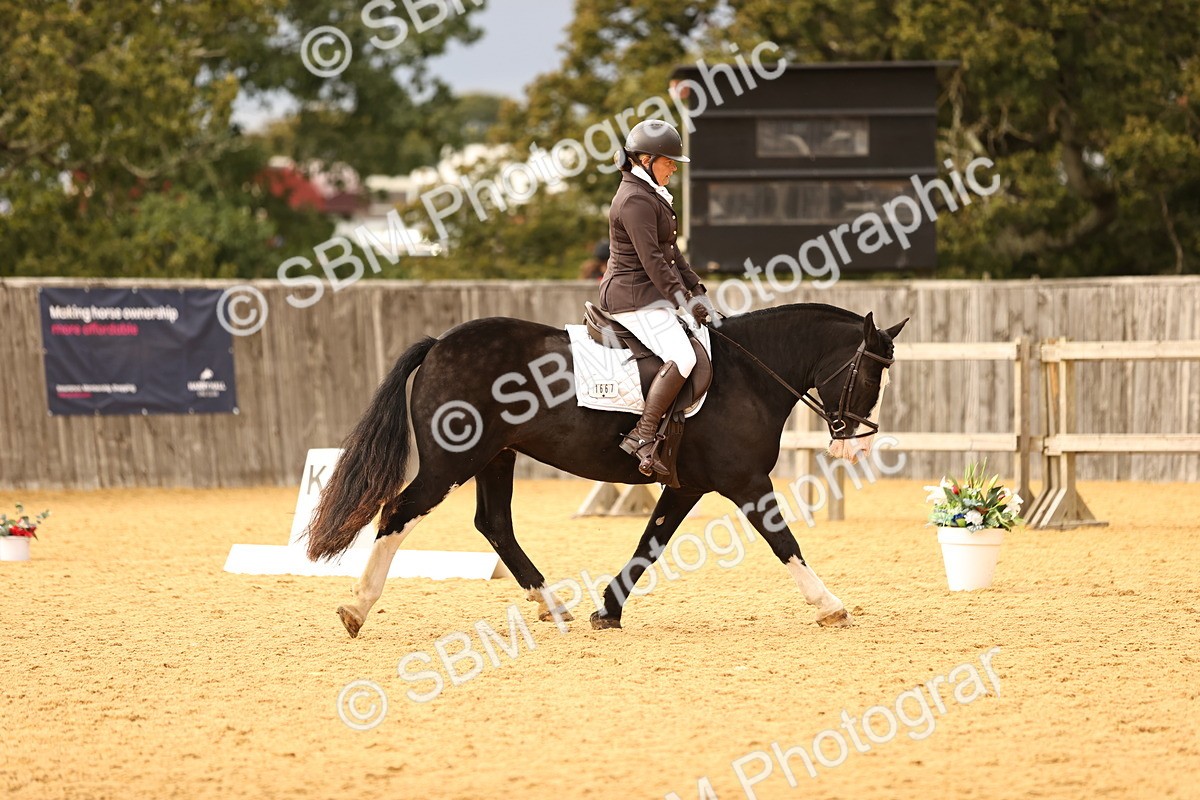 SBM_11843 - D9 Small Tour Championship Prelim 18