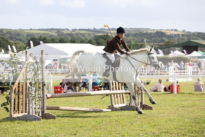 JPP_2573 - Class 20: Working Hunter 70cm