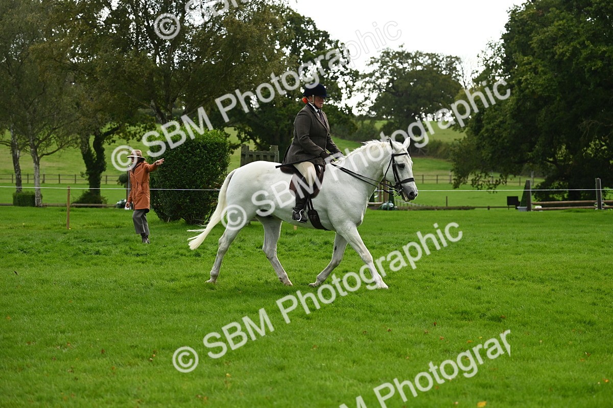 SBM_26336 - S6 - Novice & newcomer Ridden horse