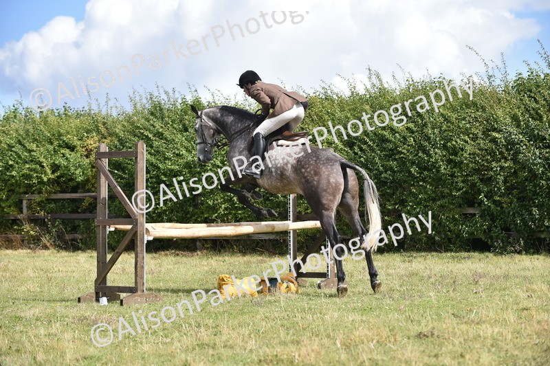 20250831-4058 - Class 13 - Working Hunter Horse or Pony