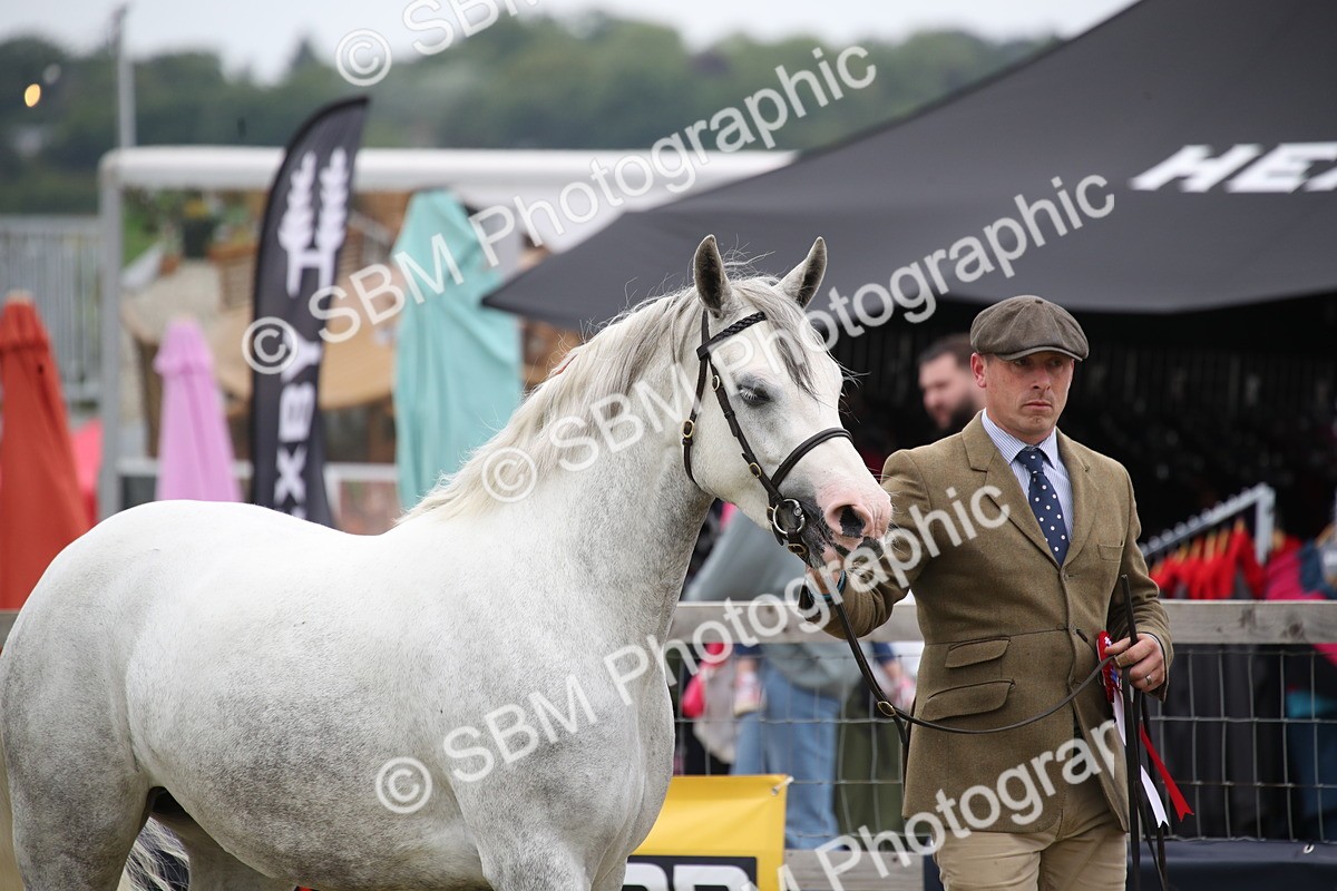 SBM_09728 - Ch 50 - Price Family Supreme In Hand