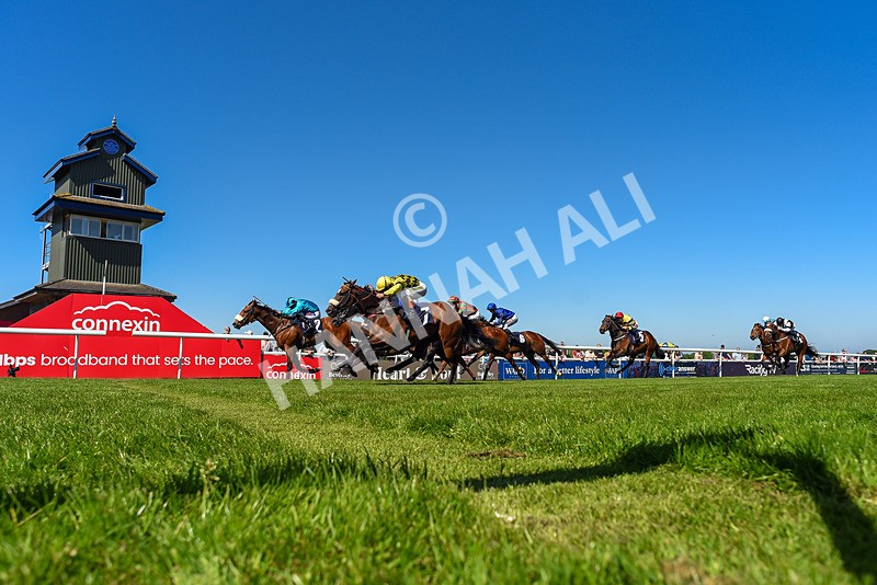 130525-Race 3-Ingleby Archie-4253 - Race 3