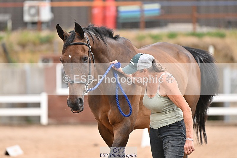 250716-155519-02286 - Trot Up 3.30 to 4.30