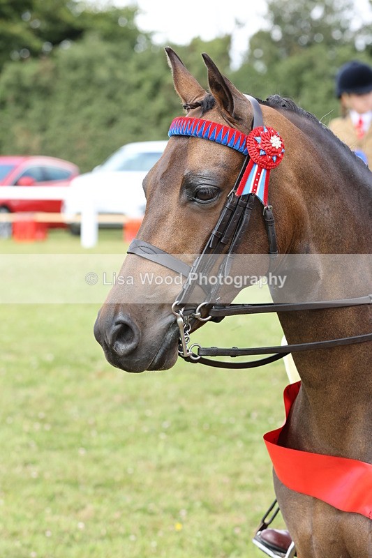 JPP_1676 - Cornish Combination Championship