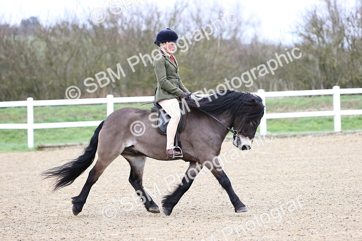 SBM_006838 - Class 29 - 30 - M&M Pure Novice Small-Large Breeds
