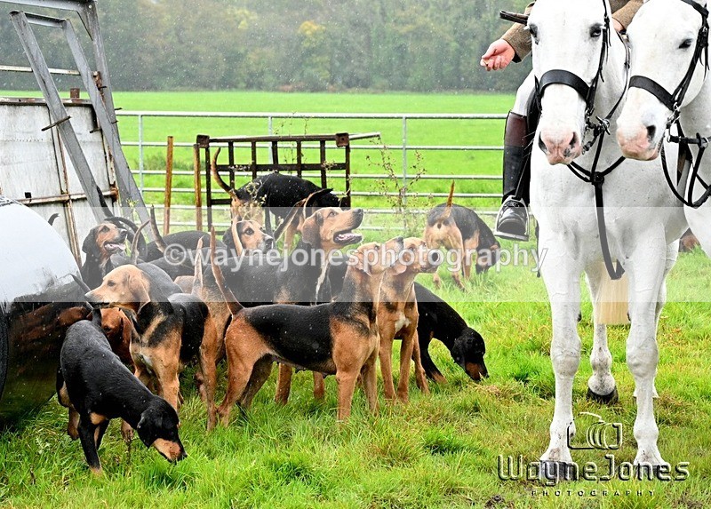 WJ7_8280 - Berks & Bucks Blackcroft Farm 20-10-24