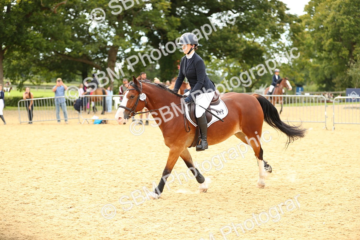 SBM_71355 - J18 - Junior Pony 85cm Championship