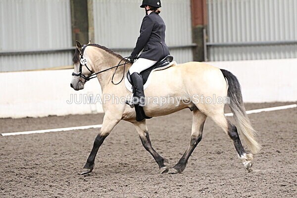 SIAL5214 - CAbin Dressage 5th july 2025