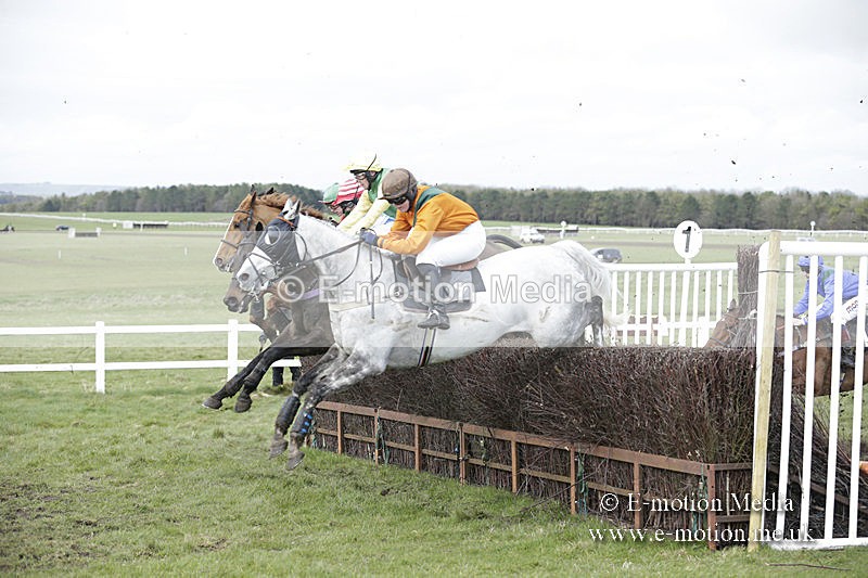 PtP 150320 0675 - New Forest Point-to-Point Larkhill 15/03/20