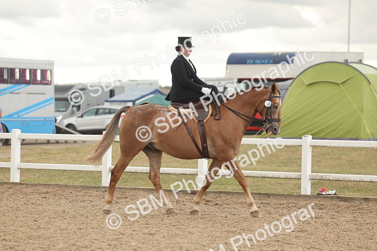 SBM_06313 - Class 23 - SSA - Classical