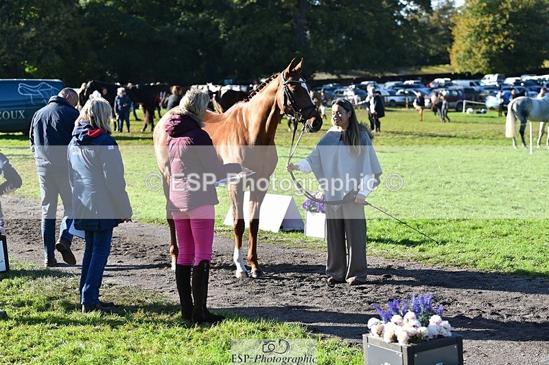 231022-110556-23717 - 436-MASSACHUSETTS-Georgia.Henderson-TrotUp+SJ