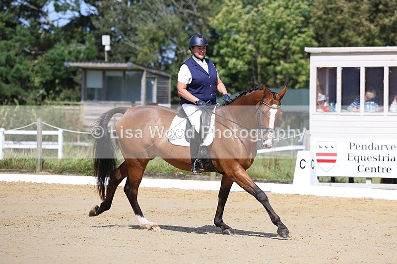 3E7A3673 - Class 8: Novice 6 Section A Championship