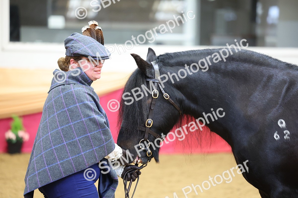 SBM_22740 - Class 903 - Supreme Final - IH Pre Vet