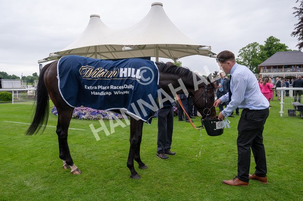 250524-Race 3-Starlust-0310 - Race 3 2.45pm William Hill Extra Place Races Daily Handicap