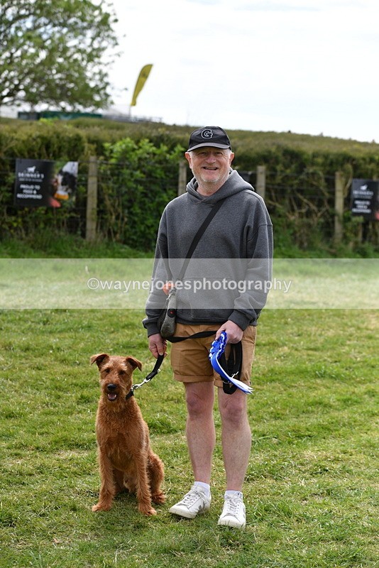 WJ5_9868 - Class 3 Most Handsome Dog