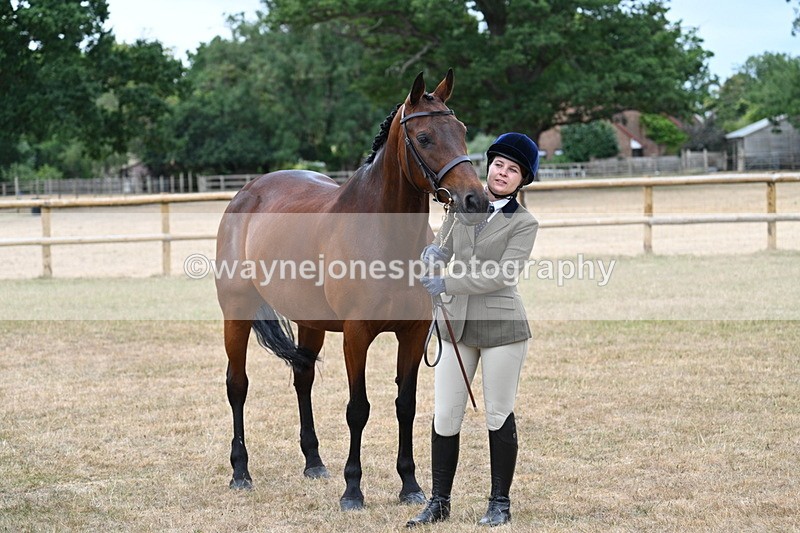 WJ7_9157 - Class 4a Prettiest Mare 14.2hh and over