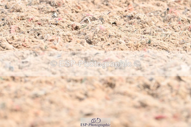 250620-103847-01812 - BD Cls 2 - Preliminary 6, 9.50am to End