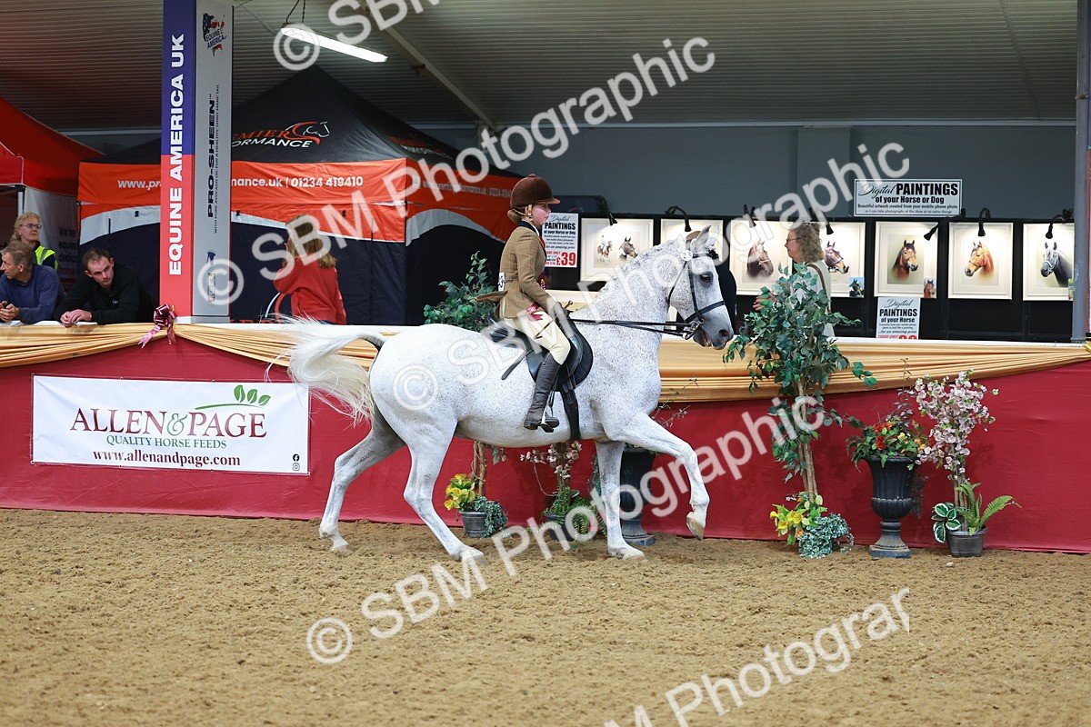 SBM_09898 - Class 102 - HOYS Veteran Qualifier - Ridden Veteran
