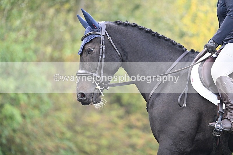 WJ7_2682 - Time 09:00 to 09:35