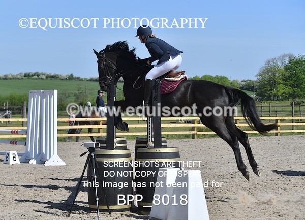 BPP_8018 - CLASS 2 Club/ Unaffiliated 80cms Open