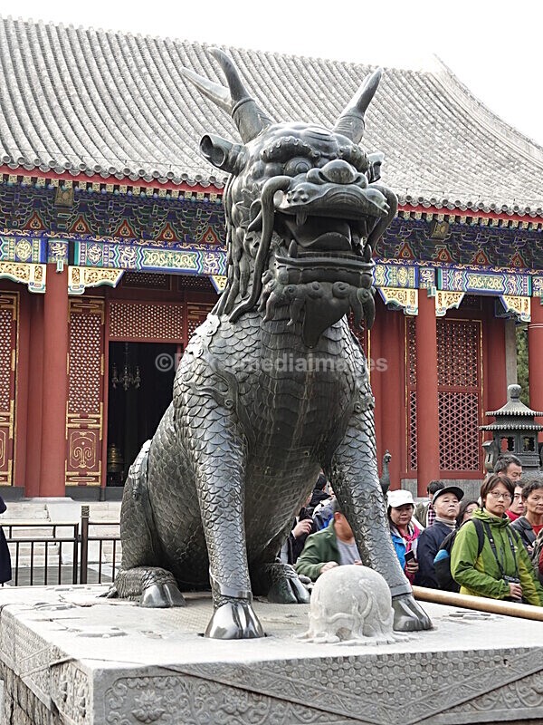 CHINA__1292 - China 2019