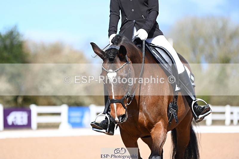 240323A-112113-02600 - DR Novice 24