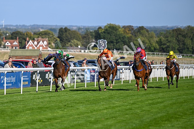 230925-Race 4-Elegant Erin-0635 - Race 4