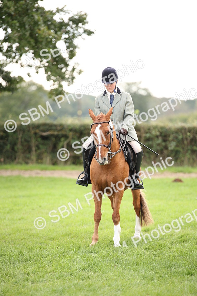 SBM_50005 - S26 - Young Veteran - Ridden