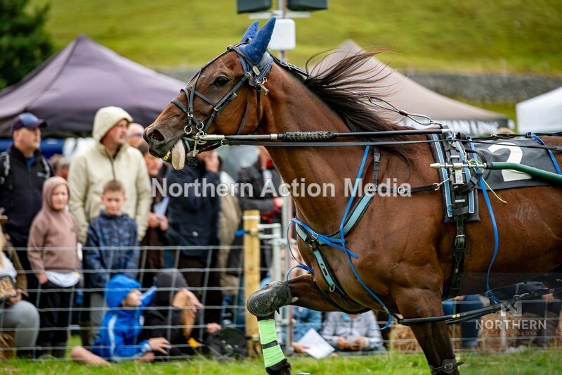 DSCF7187 - Kilnsey Harness racing